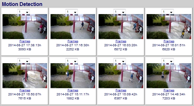 Video Surveillance Motion Snapshot Preview